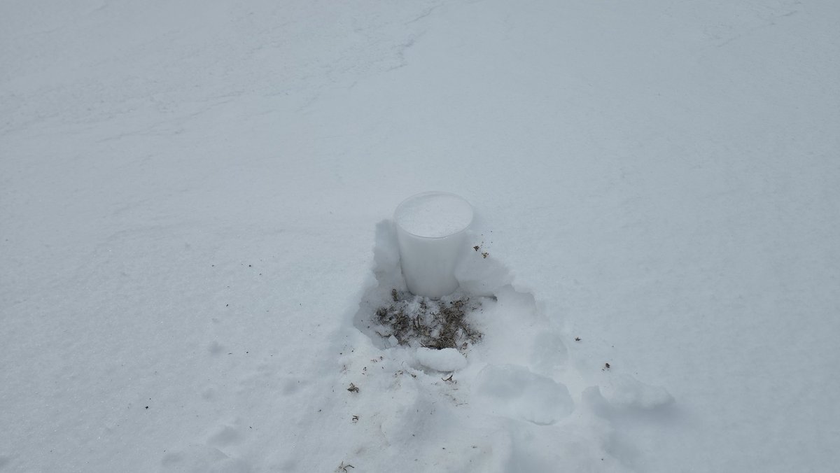 Jeremyds45's tweet photo. @NWSMemphis @NWSMemphis

Here's the best gauge I could come up with for this winter event, since the snow board would likely be less accurate due to the wind. We likely had a little more precipitation than the container shows due to the wind, but should be close. https://t.co/BNTPsc0em0