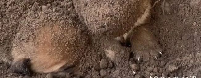 dailypxst's tweet image. Tap the post