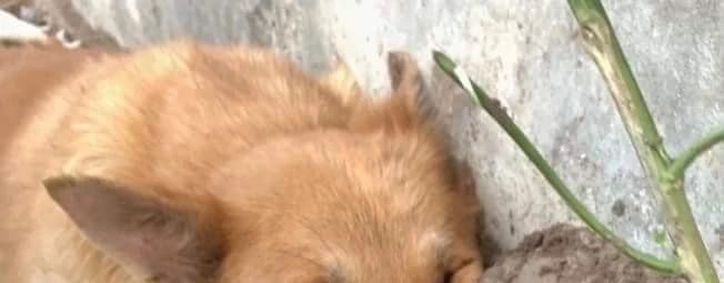 dailypxst's tweet image. Tap the post