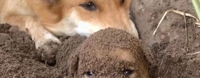 dailypxst's tweet image. Tap the post