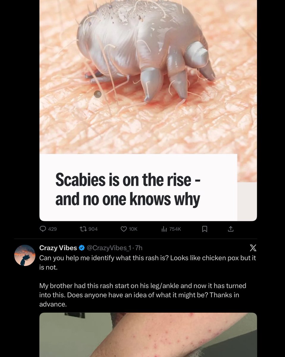 Dan Bolton ⚡️ tweet media