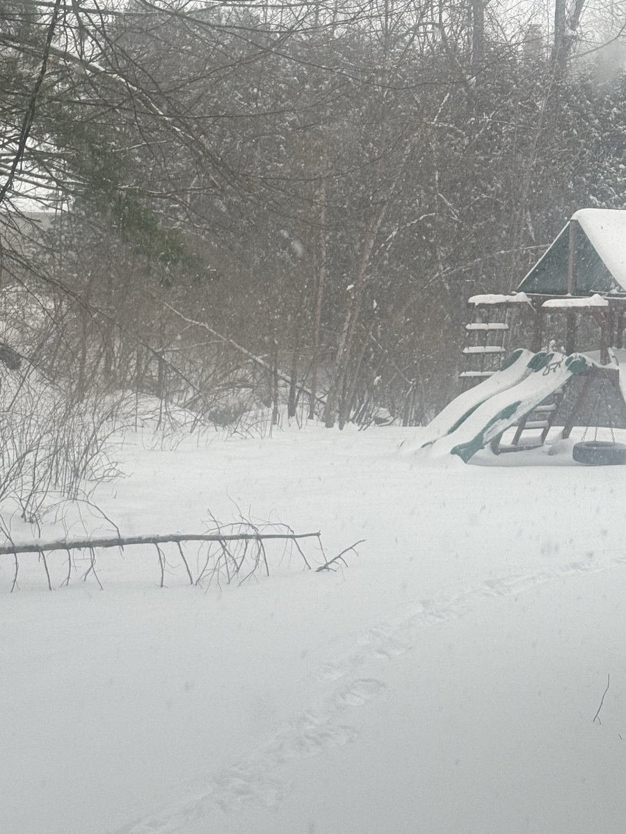 Hayds1221's tweet photo. [250 PM] 5.4”’of new snow in Westborough. Heavy snow falling with a temp of 5 degrees. @NWSBoston @WX1BOX https://t.co/raw2MI52WK