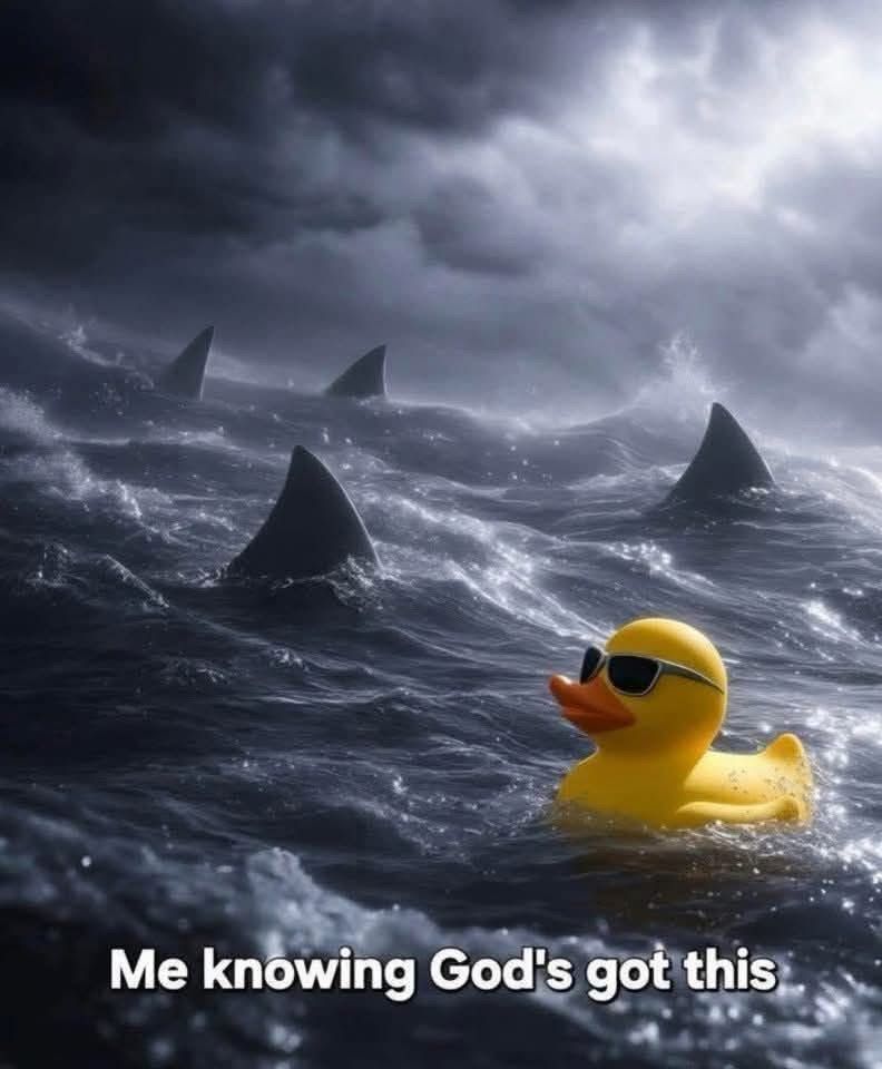 holyhumorr's tweet image. 