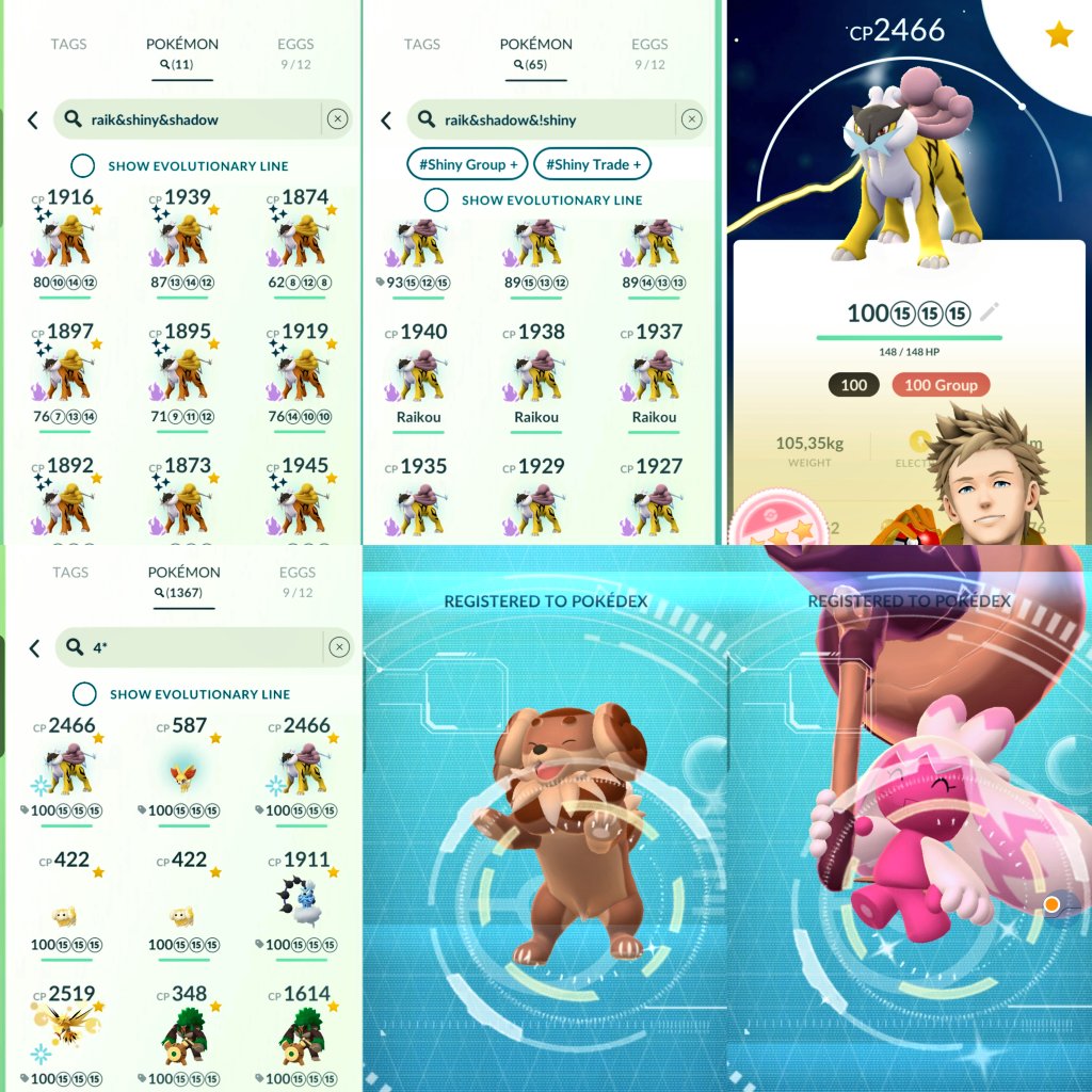 Shadow Raikou Raid Day ⚡
11 Shiny, 2 Purified Hundos, Best Shadow 93%

Hatched Shiny Tinka 🔥
Evolved Cocoa Dashbun ☕

#PokemonGO