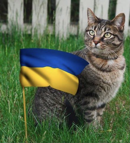 catgirl321's tweet photo. #Purrs4Peace for everyone suffering in the monstrous conflict in #Ukraine🇺🇦💔 #IStandForUkraine #WeStandForUkraine #UnitedWithUkraine #StandWithUkraine #PrayersForUkraine #Purrs4Ukraine @cats_kyiv66681 PURR PURR PURR PURR PURR PURR PURR PURR PURR PURR PURR PURR PURR PURR PURR https://t.co/IZS1kPtEaF