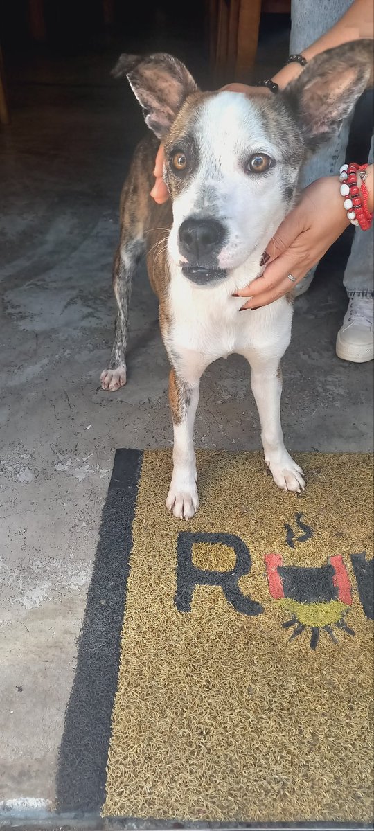 Manena 😎 tweet media