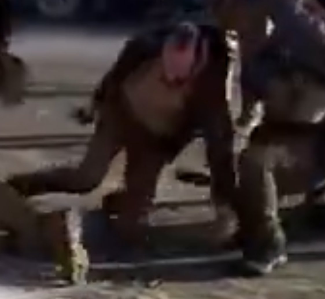 Edward Bloom tweet media