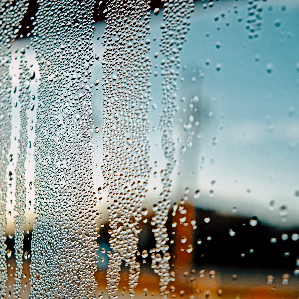 When temps drop, indoor humidity rises! ❄️ Warm air holds moisture, hitting cold surfaces causes condensation. Combat high humidity by using exhaust fans, open bedroom doors for air circulation, and wipe excess condensation from windows. We find and fix unhealthy #indoorair.