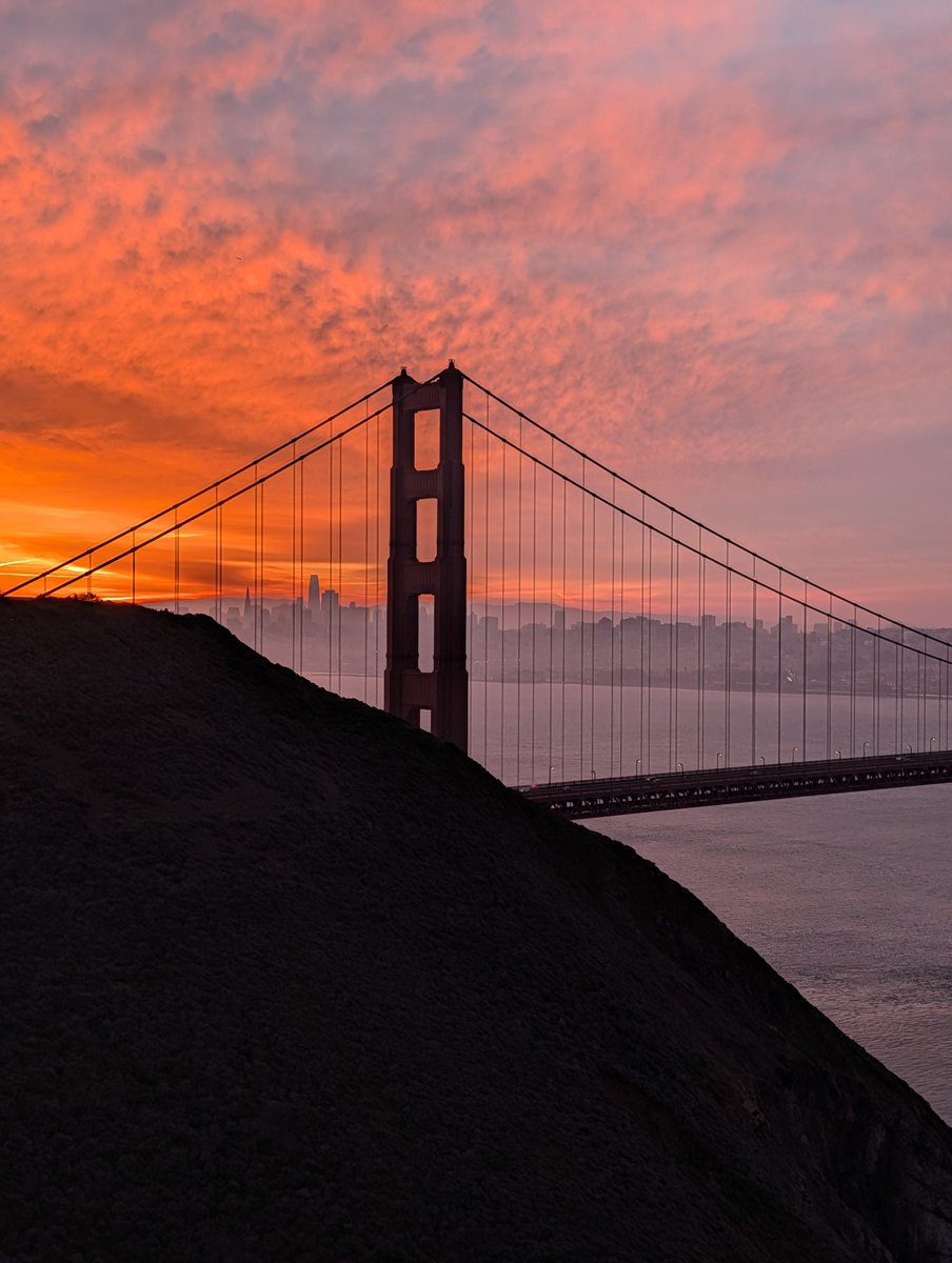 Dumitru Erhan tweet media