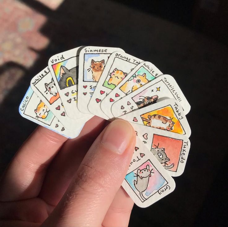 only cute things (@cutedreamvibes) on Twitter photo 