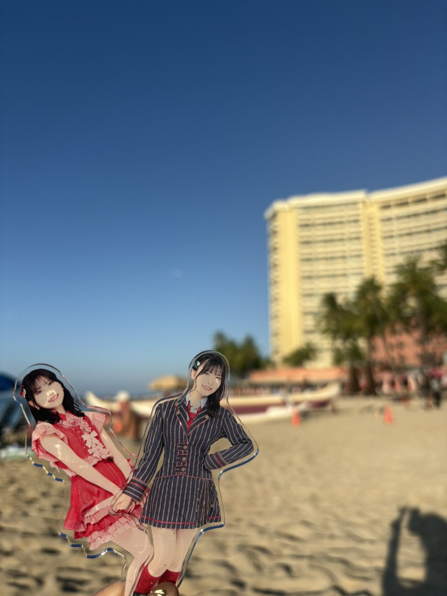 せいちゃん、𝓦𝓪𝓲𝓴𝓲𝓴𝓲 𝓑𝓮𝓪𝓬𝓱だよ🌺🏝️✨