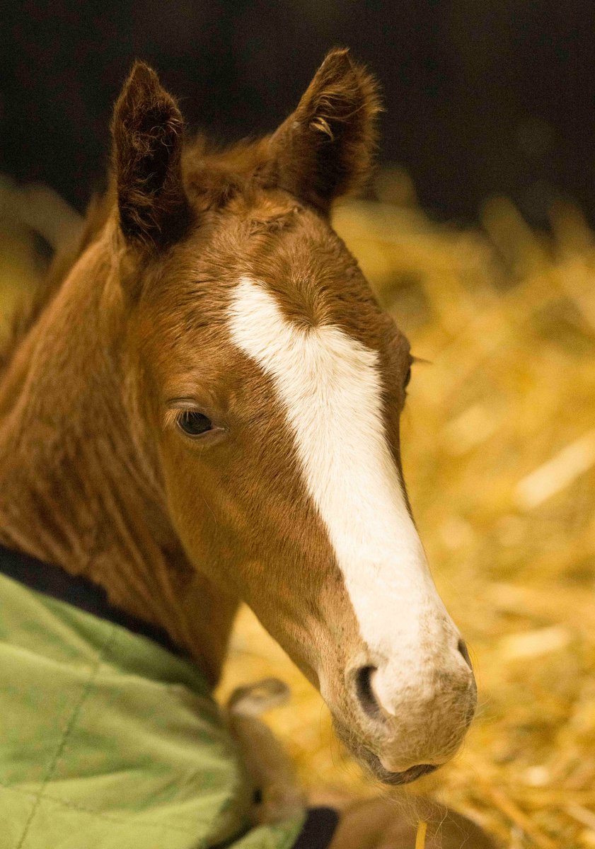 et-coquine (@et_coquine0725) / Posts / X