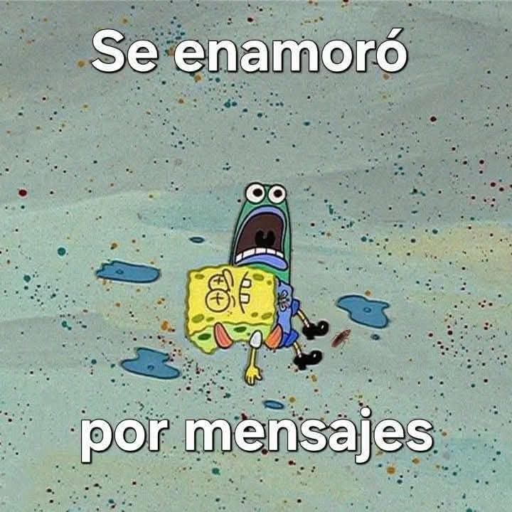 angelo_uf's tweet image. 