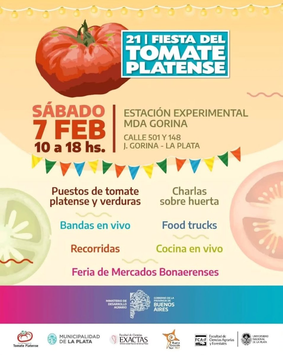 Sofi Mattioli tweet media