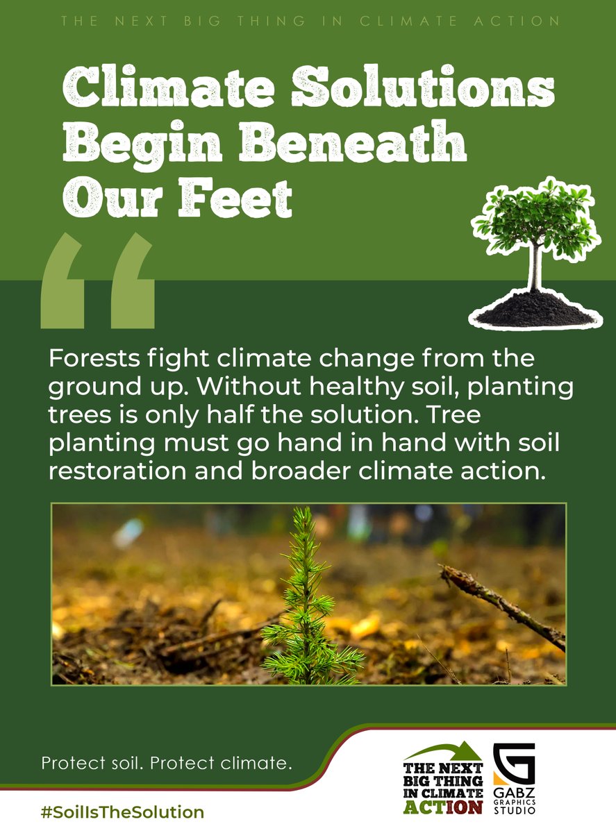 GMcaptain1's tweet photo. @NCBABankKenya Forests fight climate change from the ground up. Without healthy soil, planting trees is only half the solution. Tree planting must go hand in hand with soil restoration and broader climate action. https://t.co/LnJ4cc2Pr7