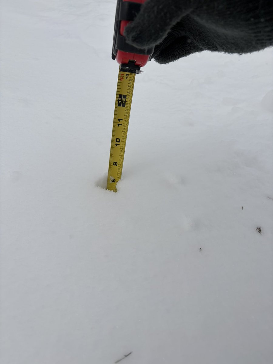 Parmejon Cheese 🧀 tweet media