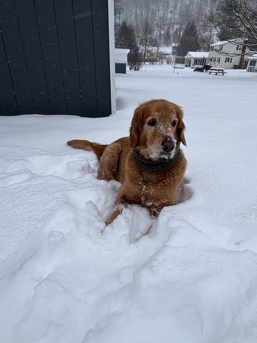 kai_doodle's tweet photo. East Coast Snowmageddon 2026 https://t.co/e2qBD8pcSL