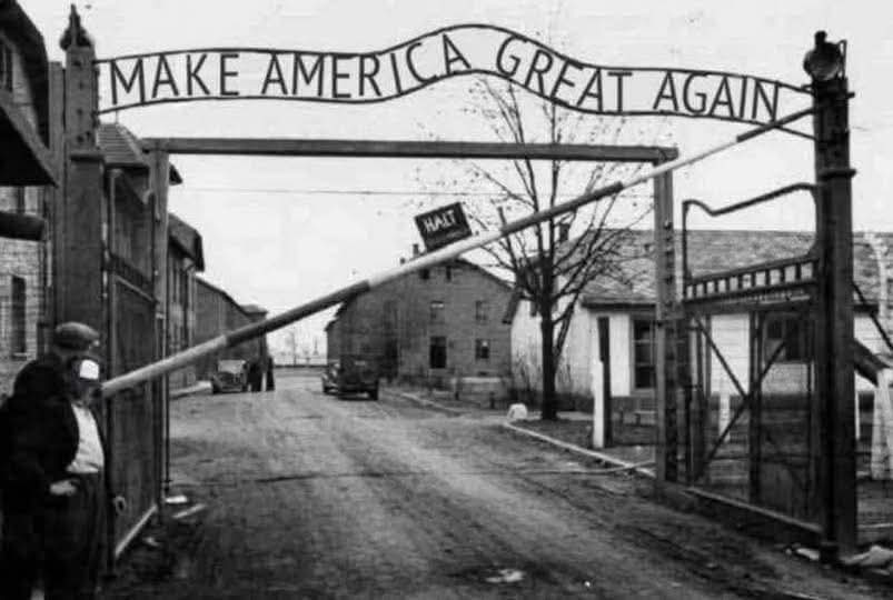 OneBigMonkey tweet media