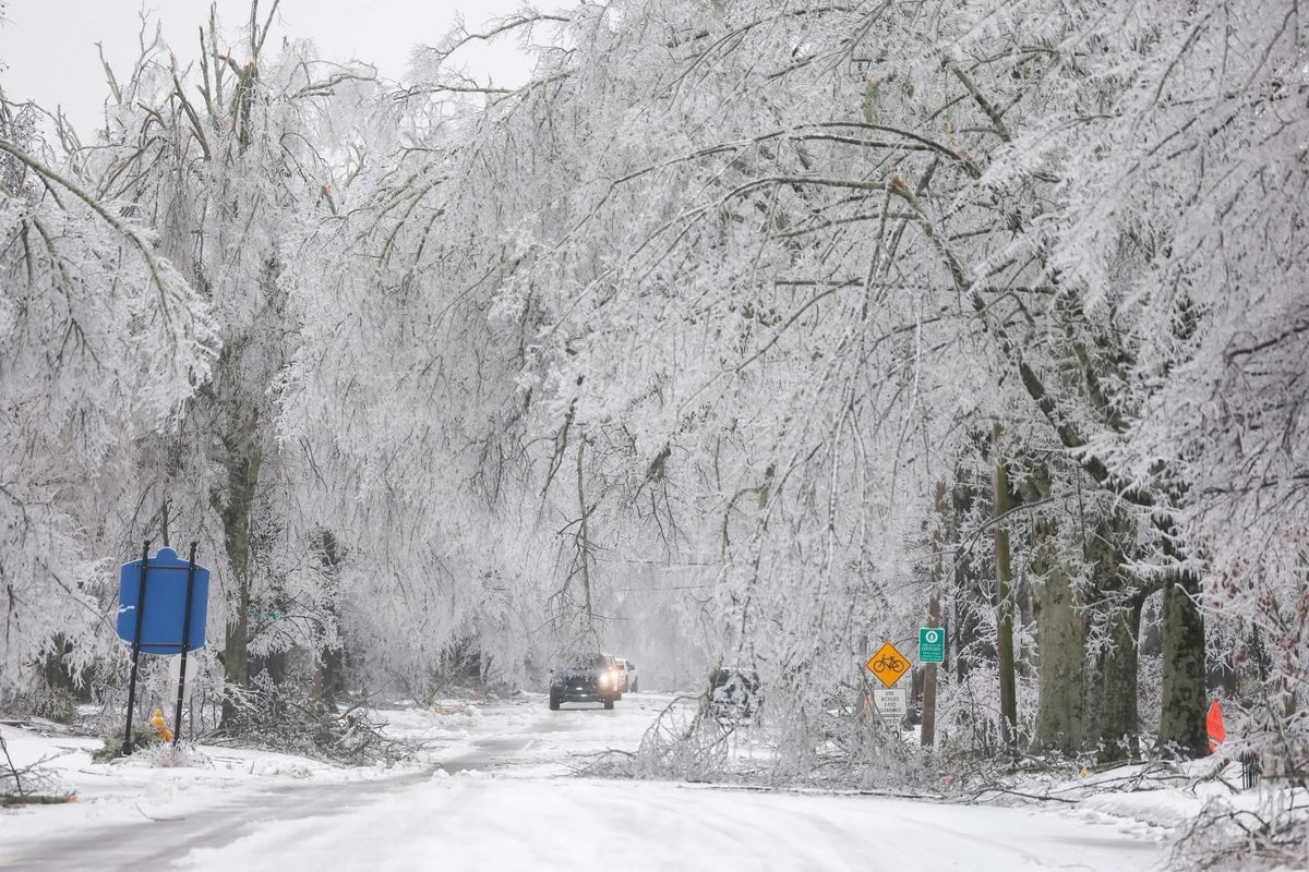 Gary L. Harris tweet media