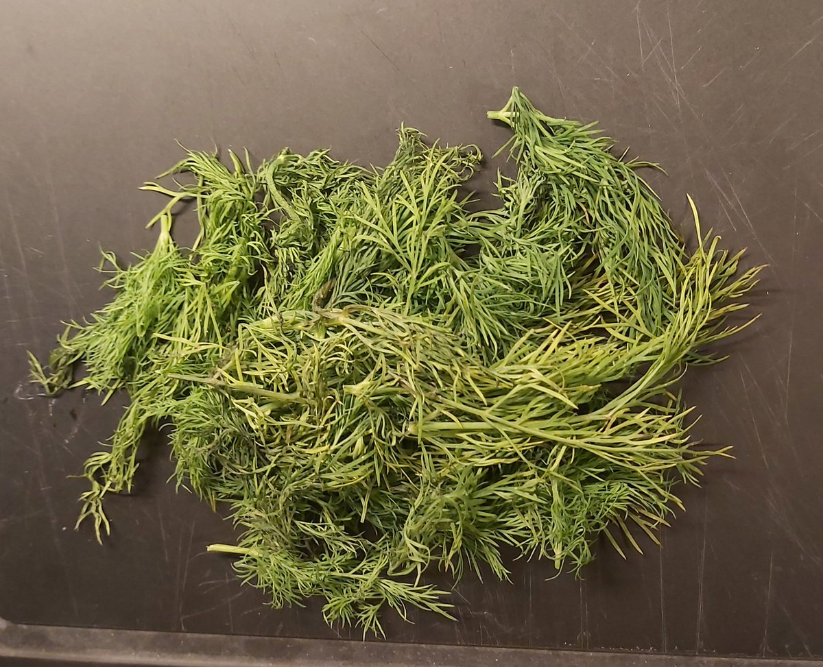 I DIN mening: hva trenger en dill-dressing/dipp/saus i tillegg til masse dill 😀