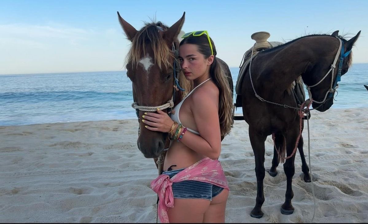 addisonfiles's tweet image. 