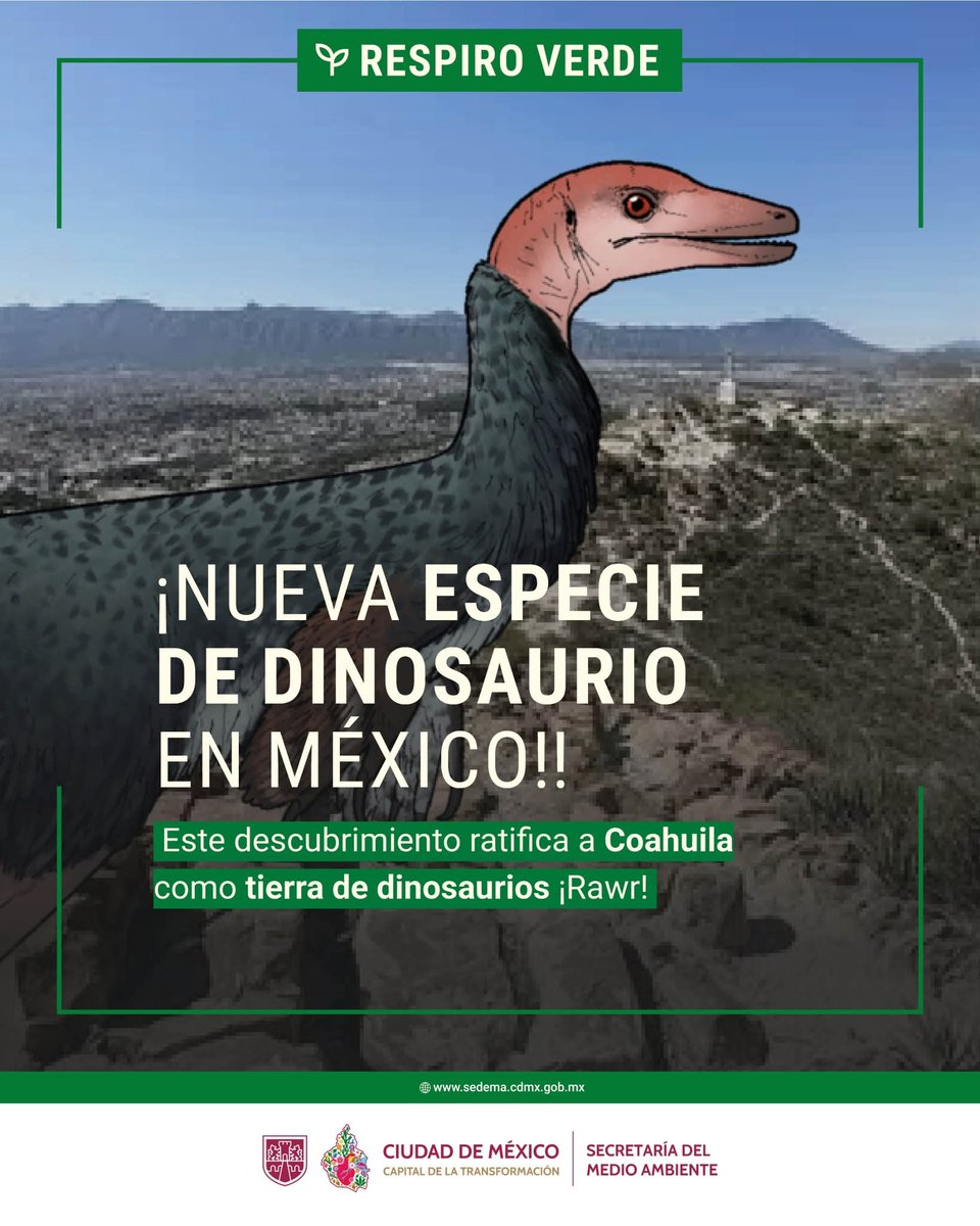 メキシコで、新種の恐竜化石が見つかったそうだ。復元図を見ると、鳥へ