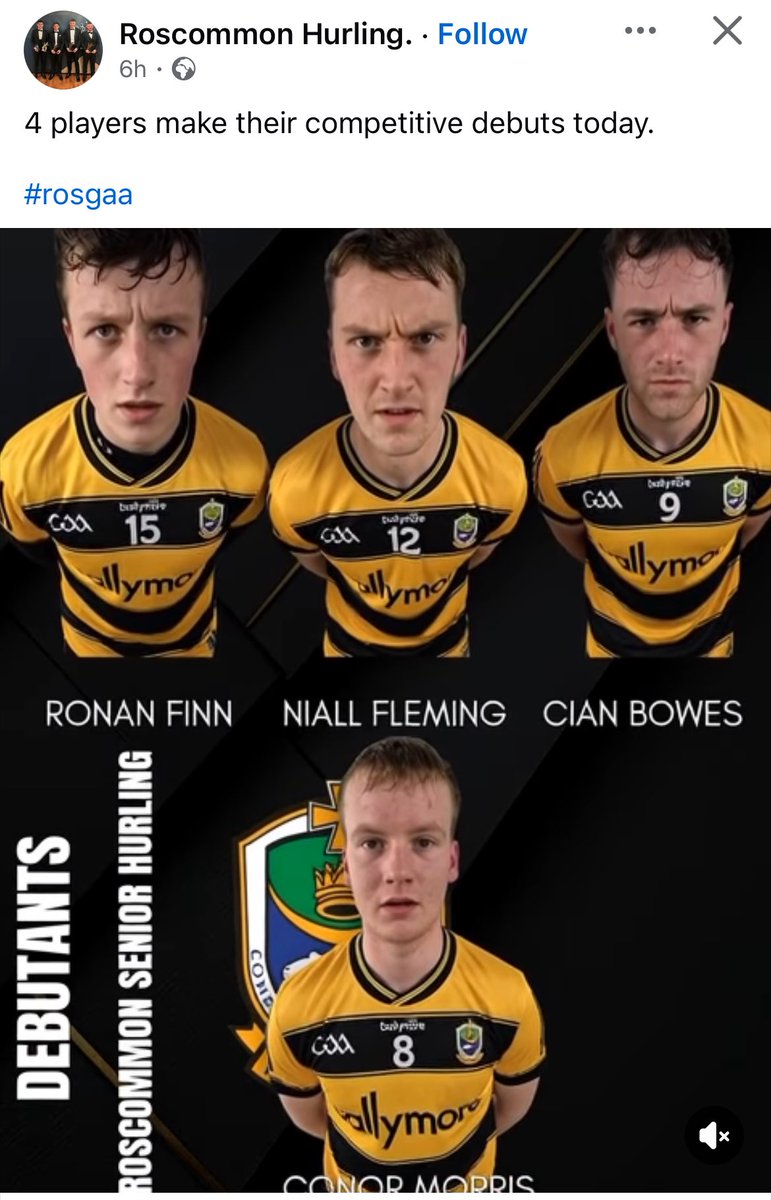 Paddy Elvis tweet media