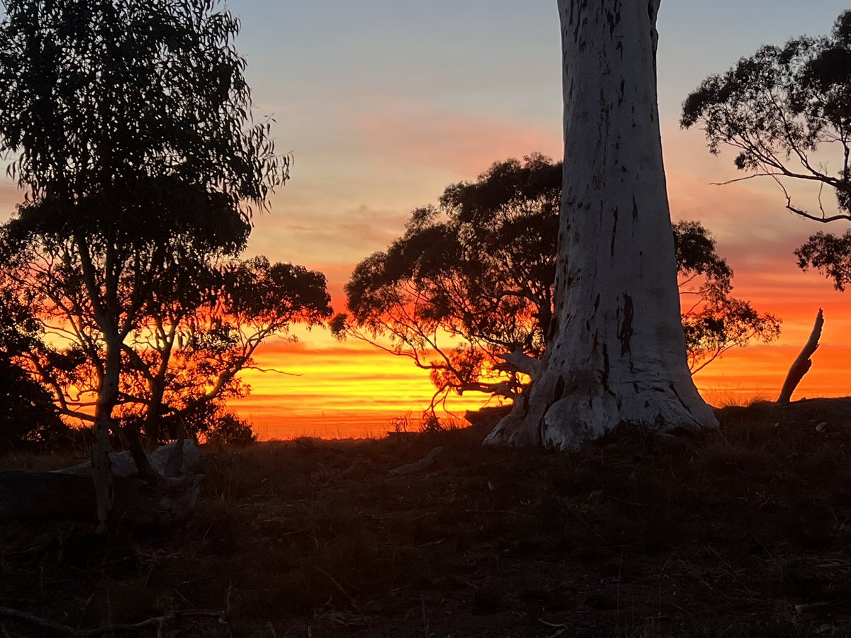 Juzzy 81 ⚽️🏈🏏⛳️ tweet media