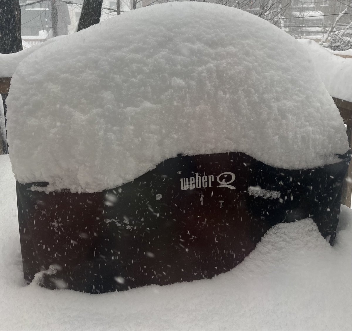 Yeah, I think this is enough. I don’t need another 40cm 🙏🏼😫