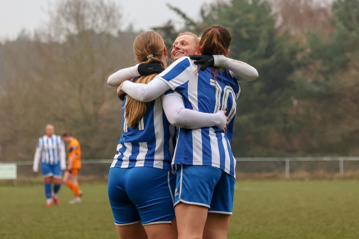 Shay Porter tweet media