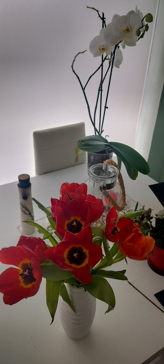 GUIEMMULET's tweet image. 