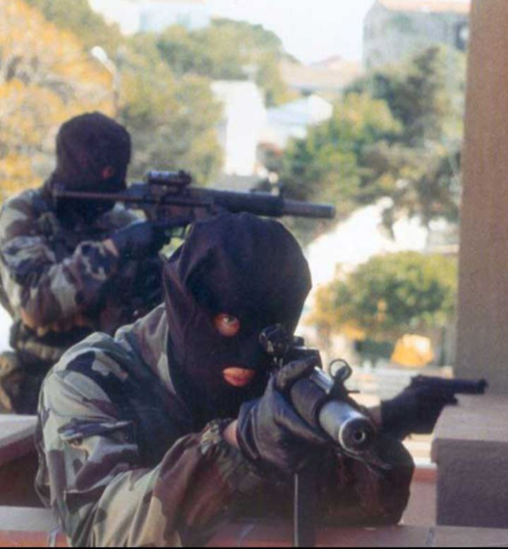 𝙉𝙞𝙛 tweet media