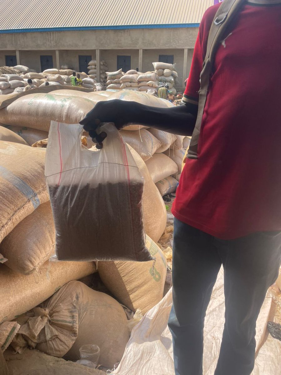 Okorecheche's tweet photo. Sweet beans don’t lie 😋
Oloyin Honey Beans – Grade 1 only.
No sugar needed, no stress cooking 😍
Grade 1 Honey Beans (Oloyin)
Clean • Sweet • Premium quality
DM to order 📩
Available in 100kg, 50kg, 20kg, 10kg, 5kg sourvenir packs too 
Abuja is my location.
07067877802 https://t.co/tnhR5CtZUy
