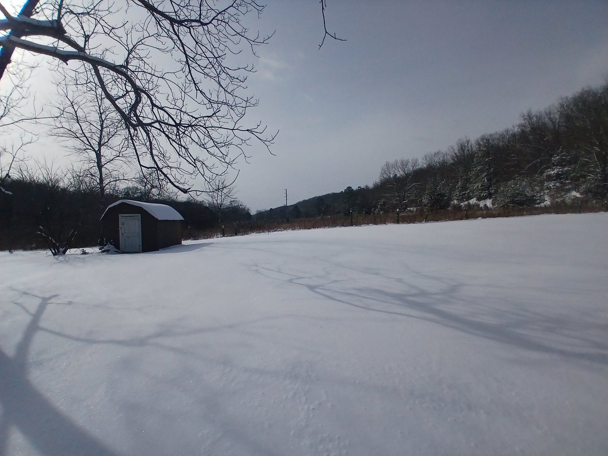 mchadbourne's tweet photo. Ended up with almost exactly 8" here in Oates, MO (NW Reynolds Co.) #mowx @NWSStLouis @SteveTempleton @spann @fox2ch https://t.co/heKoKWYXjy