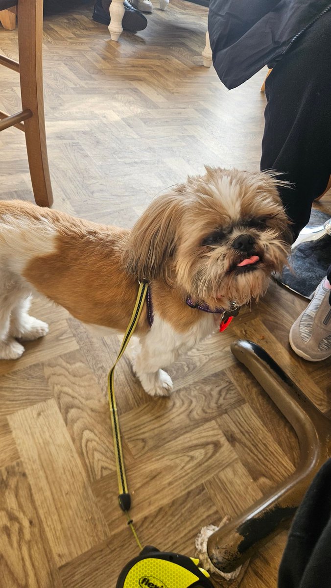 Bella🇬🇧 tweet media