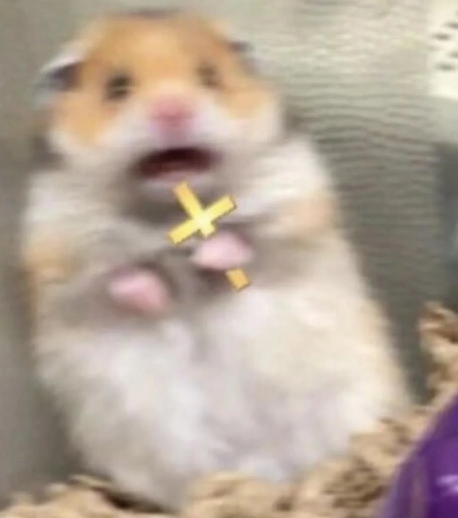 one dozen rats at a keyboard tweet media