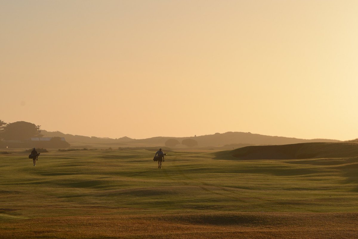 Alex Strauch tweet media