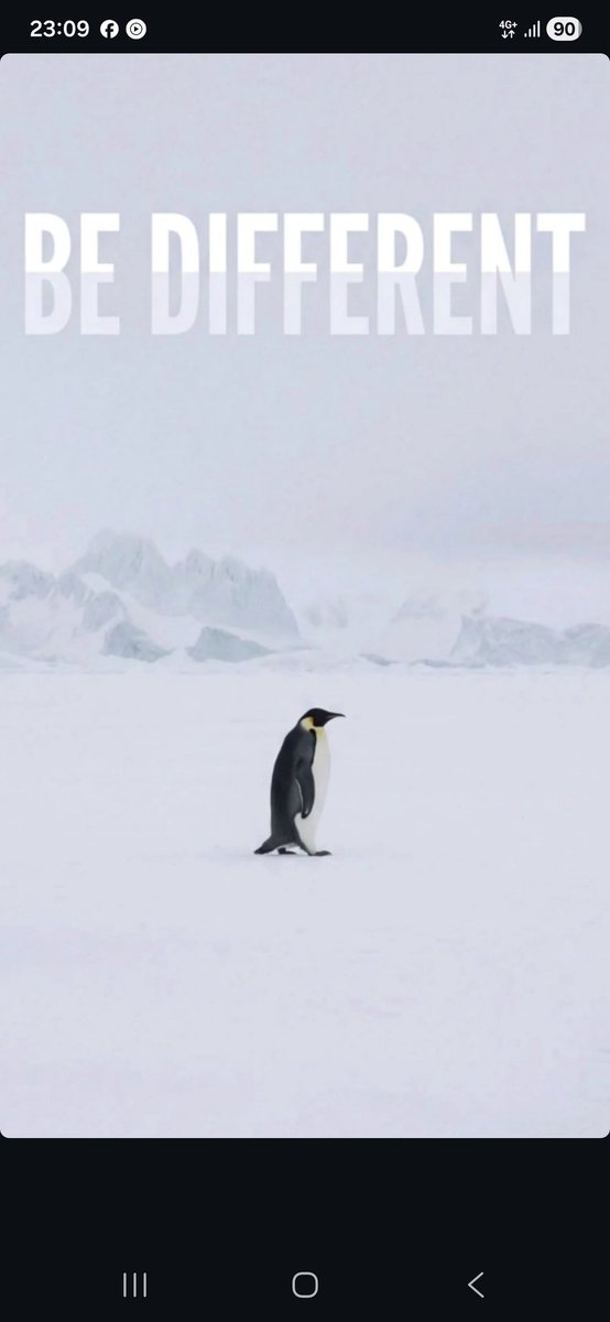 İnsan, düzene uymayan, farklı gören,farklı düşünen, farklı yollar seçen, idelalleri uğruna hayatından vazgeçenlere yaşarken dünyayı dar eder de  öldükten sonra arkasından güzellemeler dizer.  Yaşarken sevin devrimci ruhları, diğer türlüsü ölü sevicilik zira. #penguen