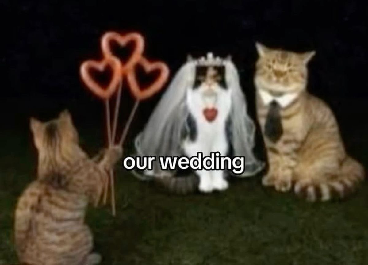 ♡ (@astralbaes) on Twitter photo 