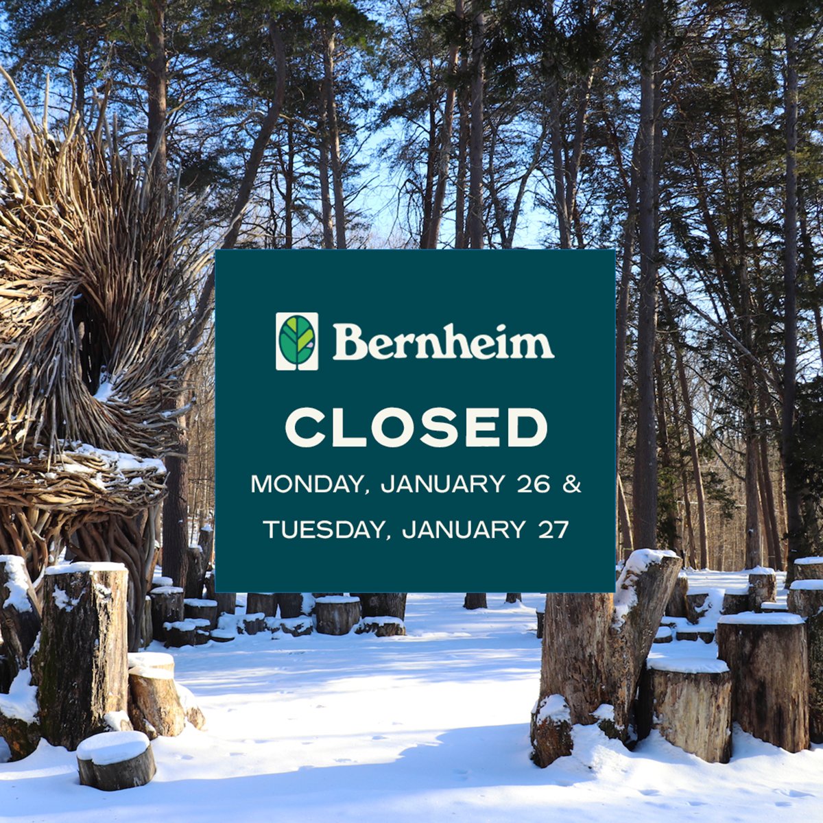 Bernheim Forest tweet media