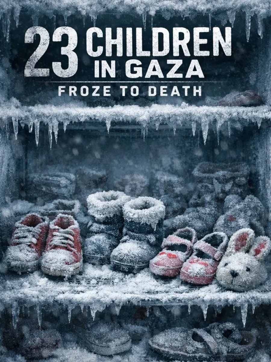 Emelia (@vikingwarior20) on Twitter photo 