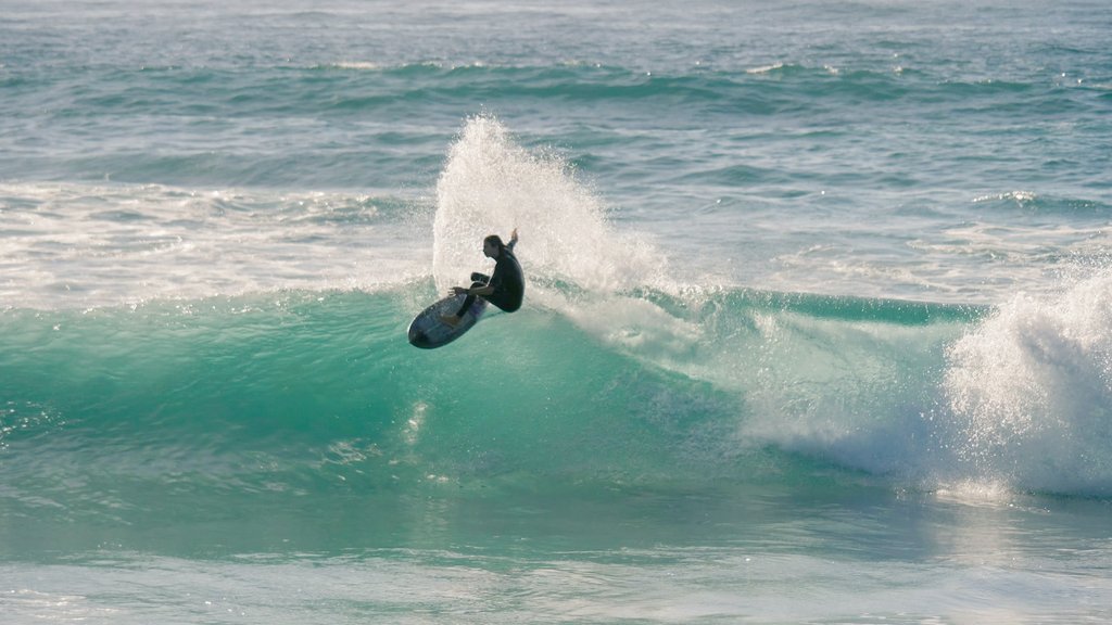 frothing44530's tweet image. Snap