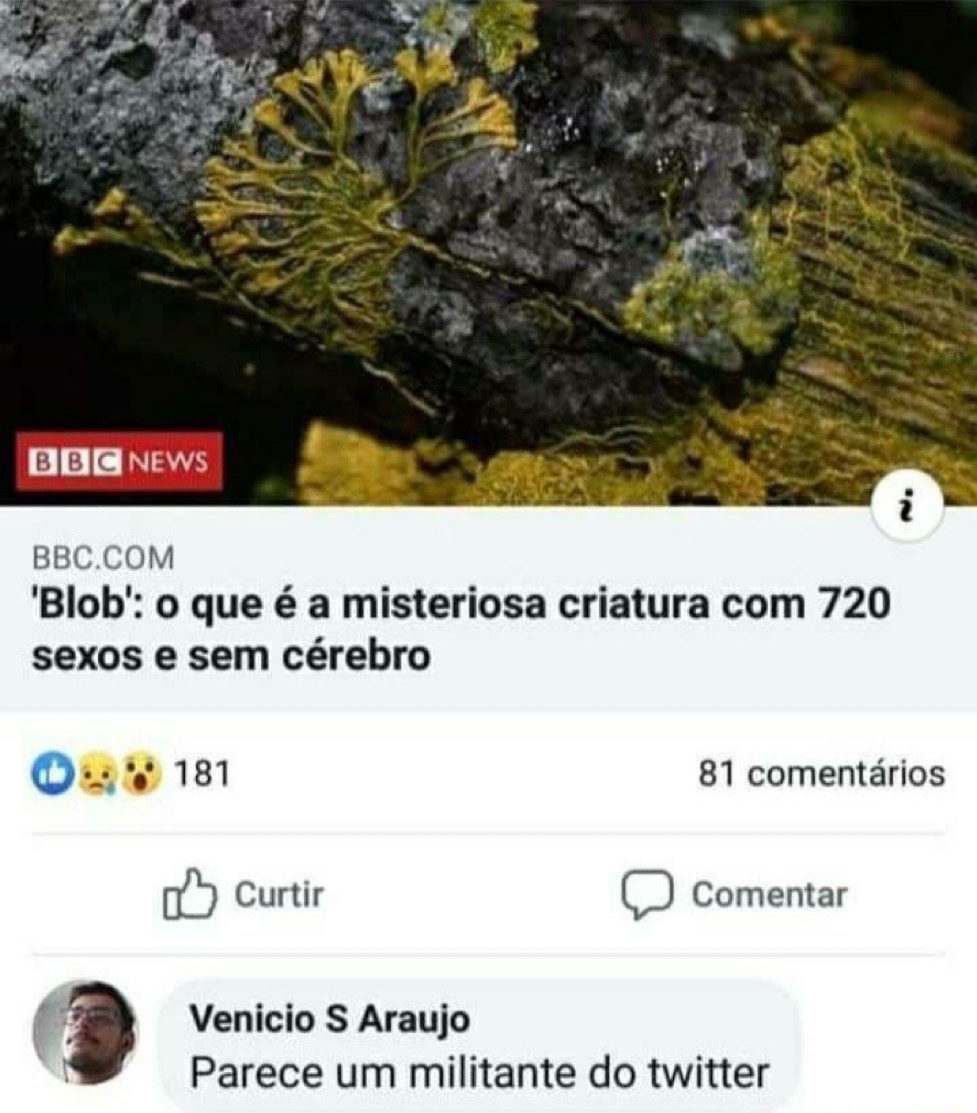 serirvaipinfern's tweet image. 