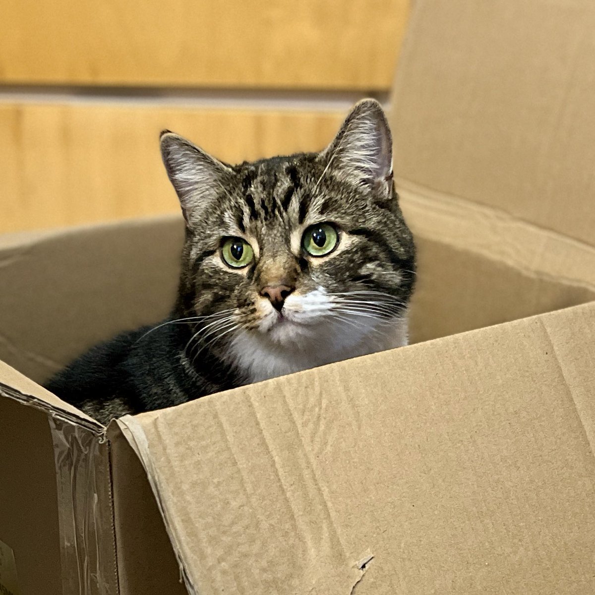 Gail Myerscough tweet media