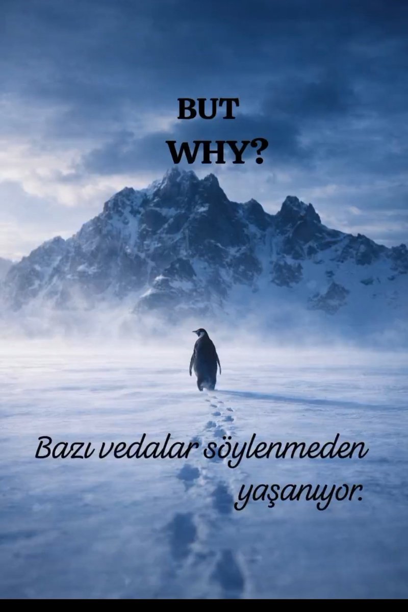 But Why?...
- Bazı vedalar söylenmeden yaşanıyor.