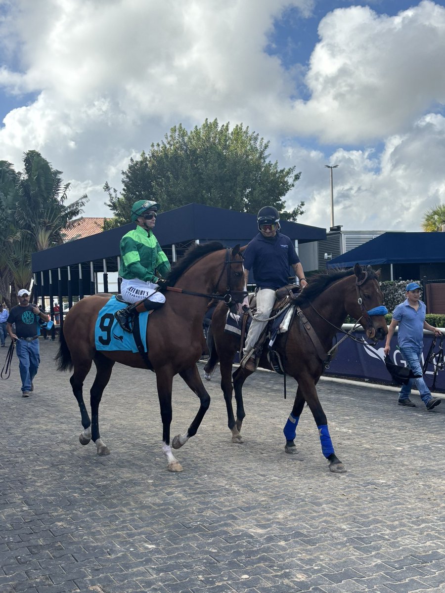 Sammy Roseman tweet media