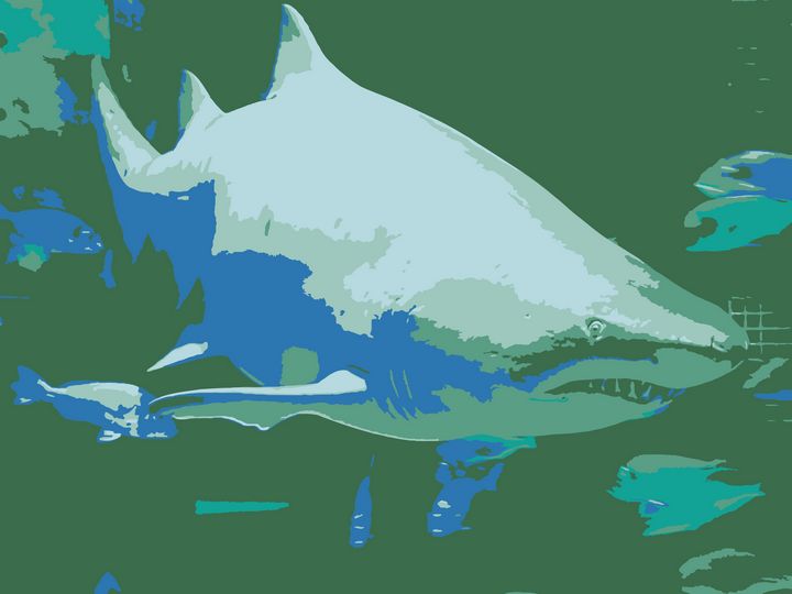 NubesDesign's tweet image. Art of the Day! "Shark vector derivation". Buy at: ArtPal.com/nubesdesignch?…