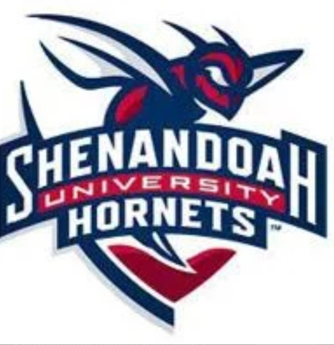 Caden Thornton tweet media