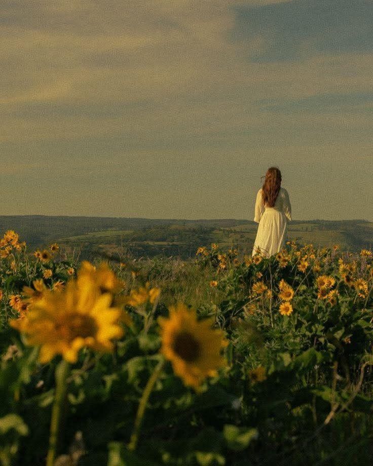 greenvibe's tweet image. 