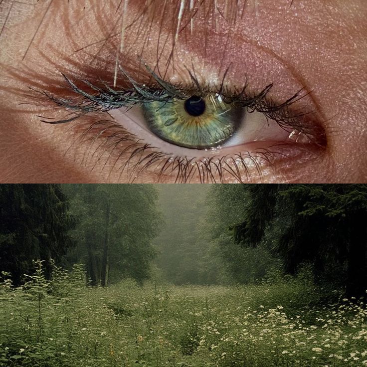 greenvibe's tweet image. 